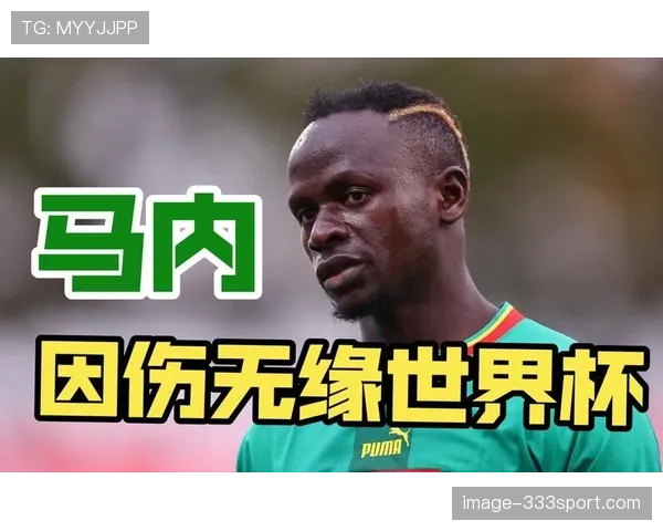 塞内加尔世界杯进球数预测